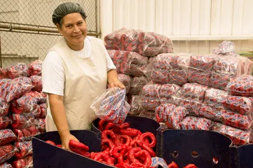 Equipo de panaderas en línea de producción